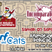 Animation et dédicaces pour les jeux Une Histoire Extraordinaire, Surf and Cats et Incomparables à la boutique le Dédale (44)