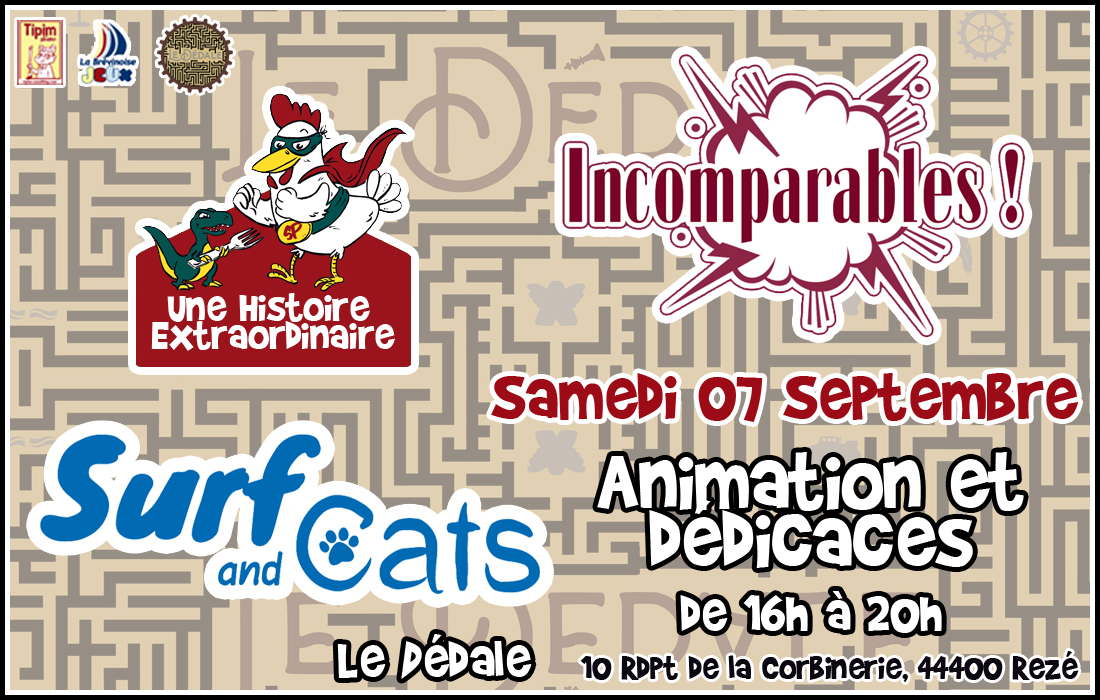 Animation et dédicaces pour les jeux Une Histoire Extraordinaire, Surf and Cats et Incomparables à la boutique le Dédale (44)